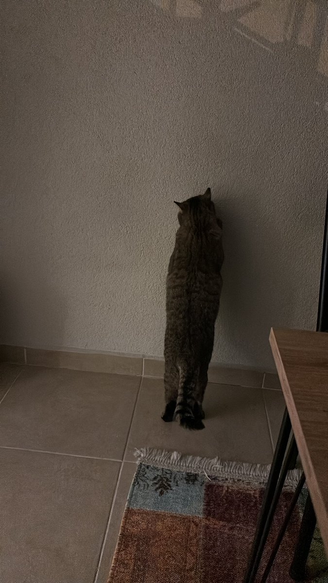 Yarın işe gideceğimin bilincine varınca ben