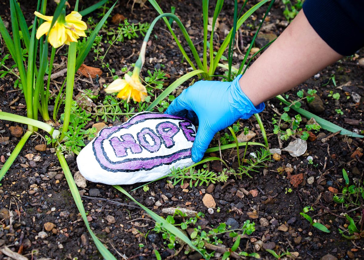 nptonhopecentre's tweet photo. At the end of our gardening day, with help from The Barratt foundation we laid some beautiful stones decorated by our service users attending our craft group!
#HopeInTheCommunity
#NationalGardeningDay https://t.co/VRUJdSvIZx