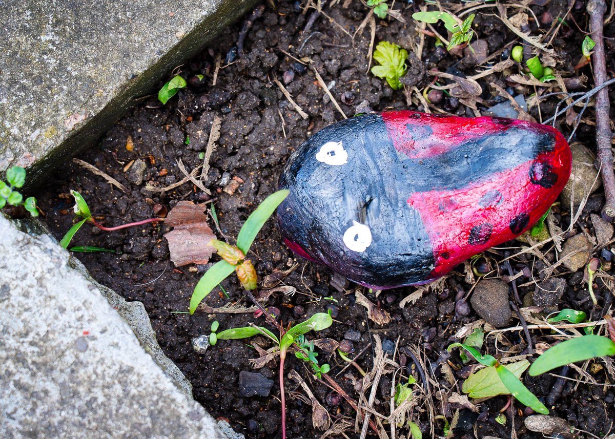 nptonhopecentre's tweet photo. At the end of our gardening day, with help from The Barratt foundation we laid some beautiful stones decorated by our service users attending our craft group!
#HopeInTheCommunity
#NationalGardeningDay https://t.co/VRUJdSvIZx