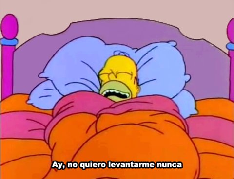 BrahianDuarte's tweet photo. Plan de domingo por la tarde https://t.co/MfDU0qxewj