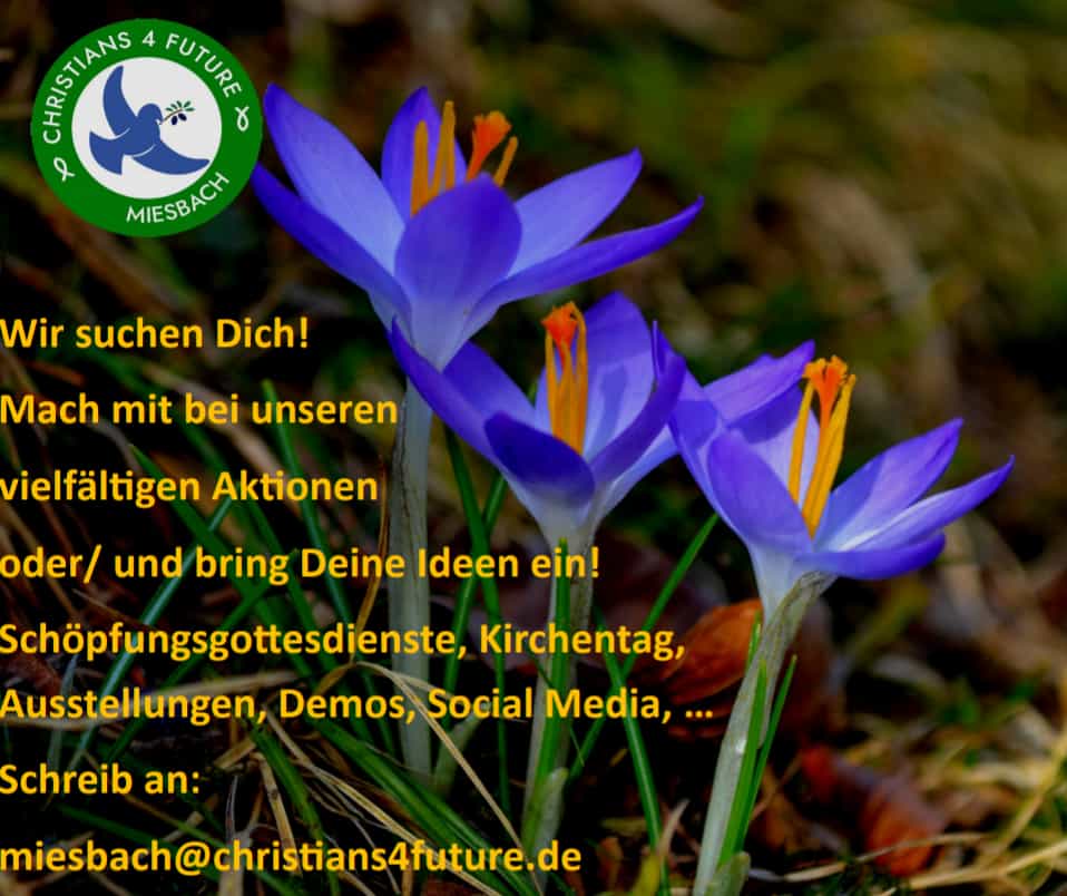 Wer hat noch Kapazitäten?...#Humanity @Christians4Fut gerne auch mal auf unserer neuen HP schauen: christians4future.de #Earth #BecauseWeLoveOurChildren