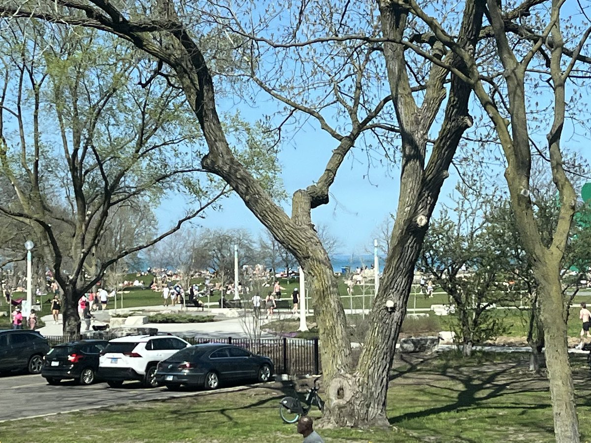 chicagobars's tweet photo. Whole Chicago lakefront is absolutely packed north of Navy Pier right now. Glorious. https://t.co/zWRR16moGW
