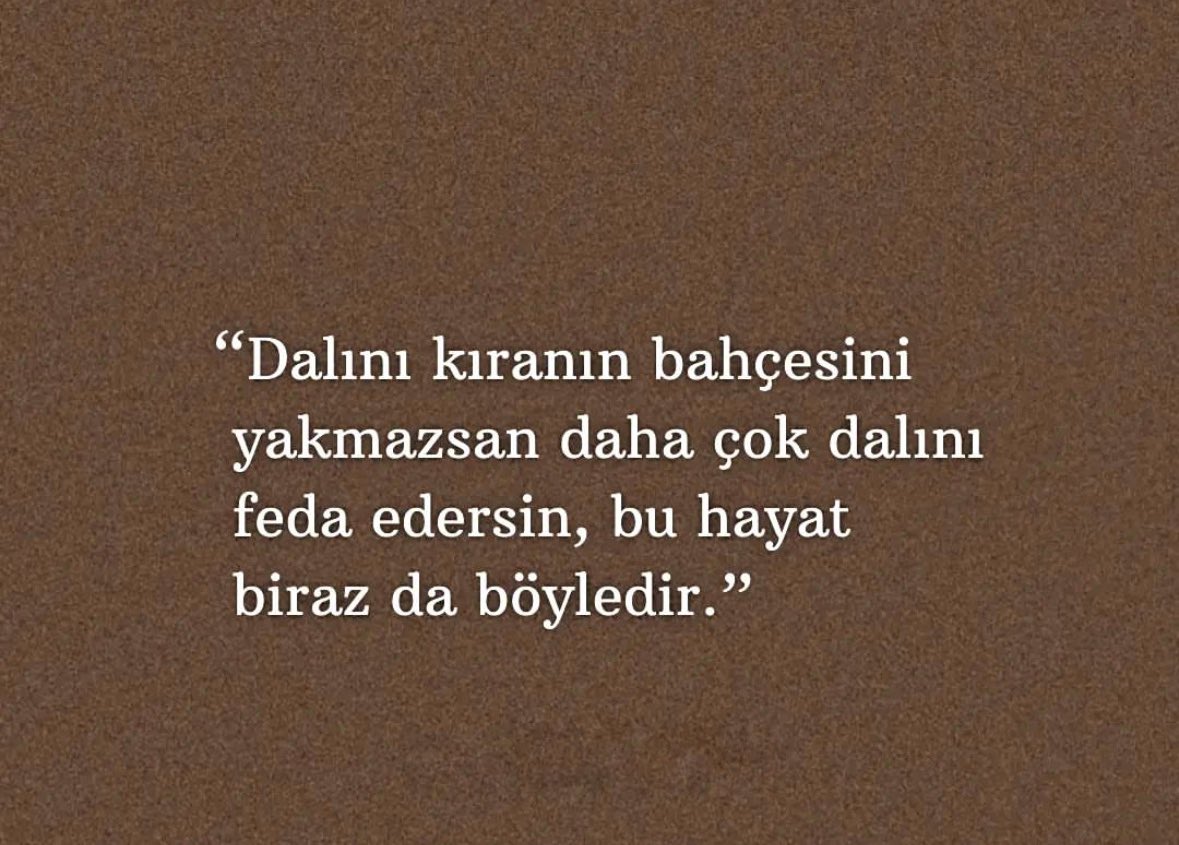 hicsevilmedimki's tweet photo. https://t.co/iPdckd6NgS