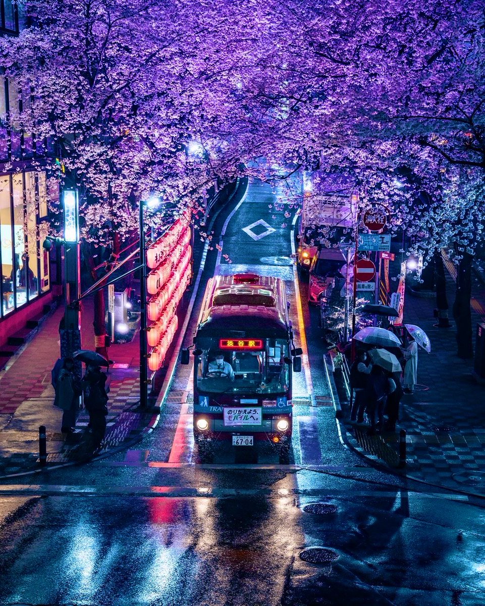 Magical Nature (@magicalnat36692) on Twitter photo 