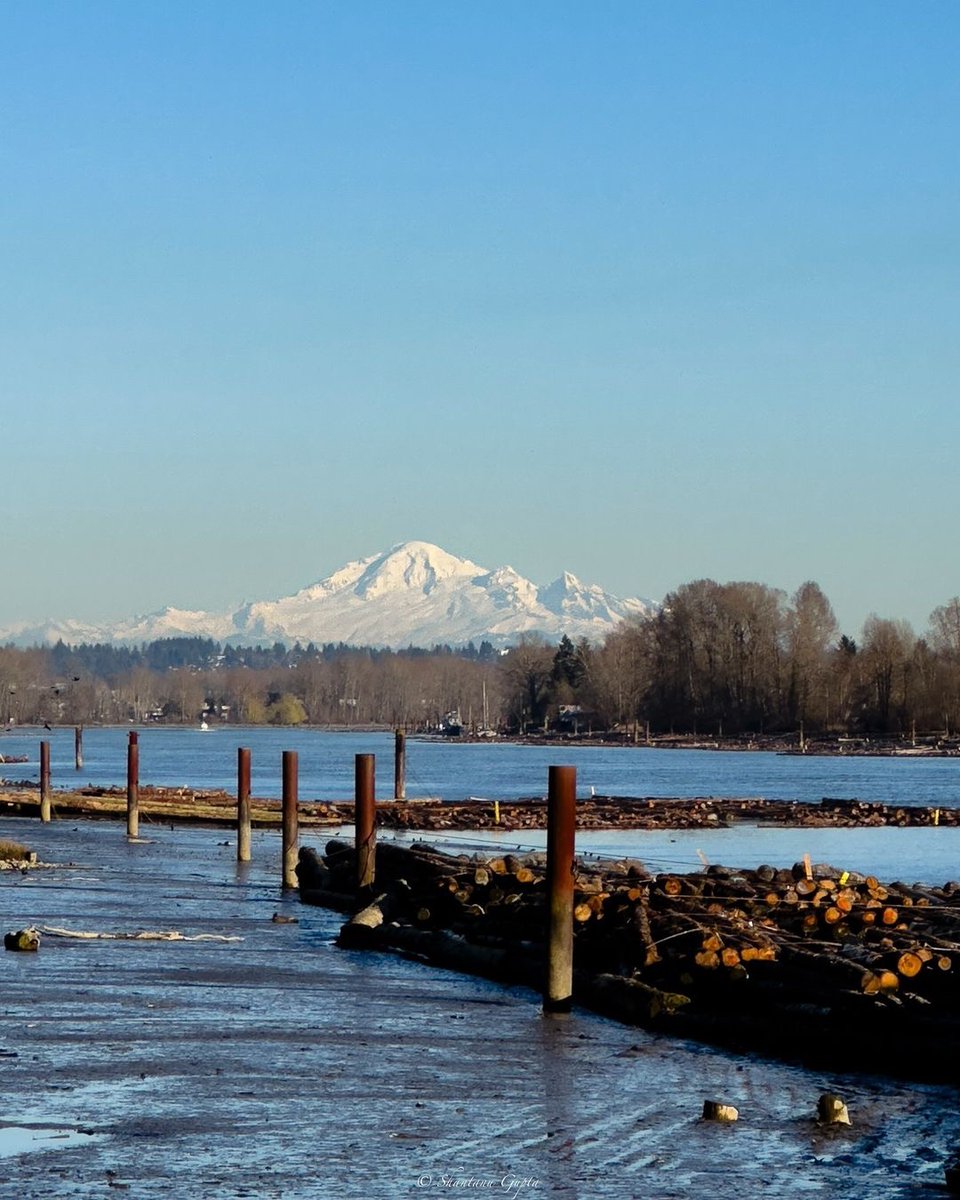 Soak in the breathtaking views of Mount Baker from the waterfront path in River District. 🏞️✨ As you stroll or pedal along the riverside, feel the gentle breeze and unwind after a long day. 📸 IG: shantanugupta