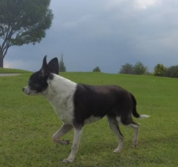 Jeff Berwick tweet media