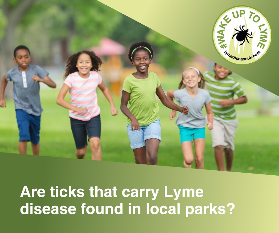 🌳 Ticks have been found in urban areas including parks and back gardens, and are found on mice, squirrels and birds which can be prevalent in these areas. 🧴 It’s important to take prevention methods when out and about. Learn how via: lymediseaseuk.com/prevention/ #WakeUpToLyme