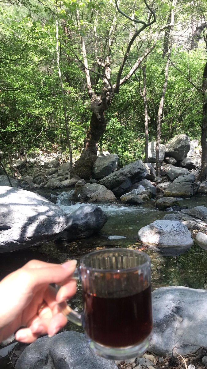 📍Kazdağları / Hasanboğuldu Şelalesi