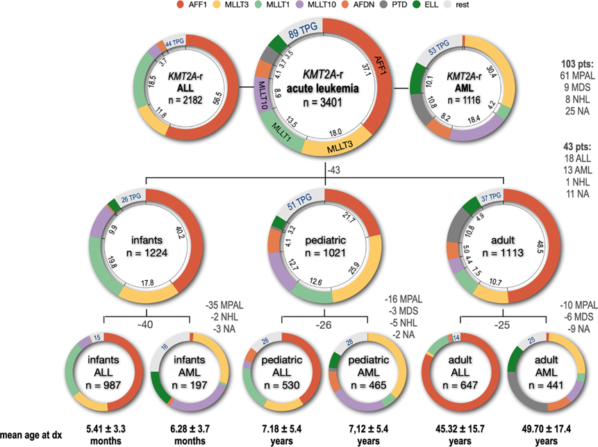 Classification by disease phenotype and Age (C. Meyer et al. Leukemia 2023) 