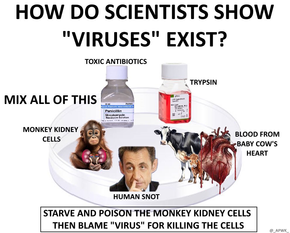 Most people do not even know the unscientific/unnatural process “scientists” use to “prove” viruses. Now you do