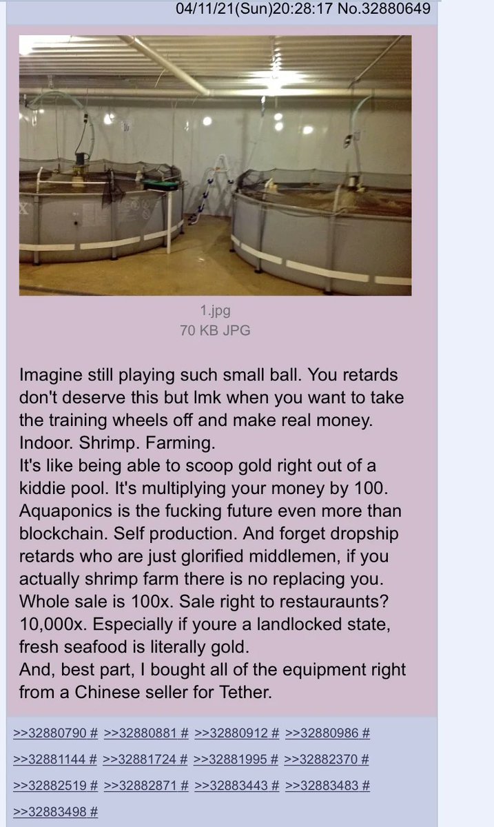 If this crypto shit don’t work out 

I’m going to become an indoor shrimp farmer
