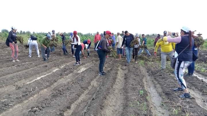 AlbertoHechava8's tweet photo. #Cuba en #Majibacoa #TrabajadoresProtagonistas saludando #1Mayo #PorCubaJuntosCreamos 
@CubaCentral
@DrRobertoMOjeda
@UlisesGuilarte 
@KGV1977 
@RenGallego3 
@CtcTunas 
@JoseAPerezP https://t.co/aCeuf35iSR