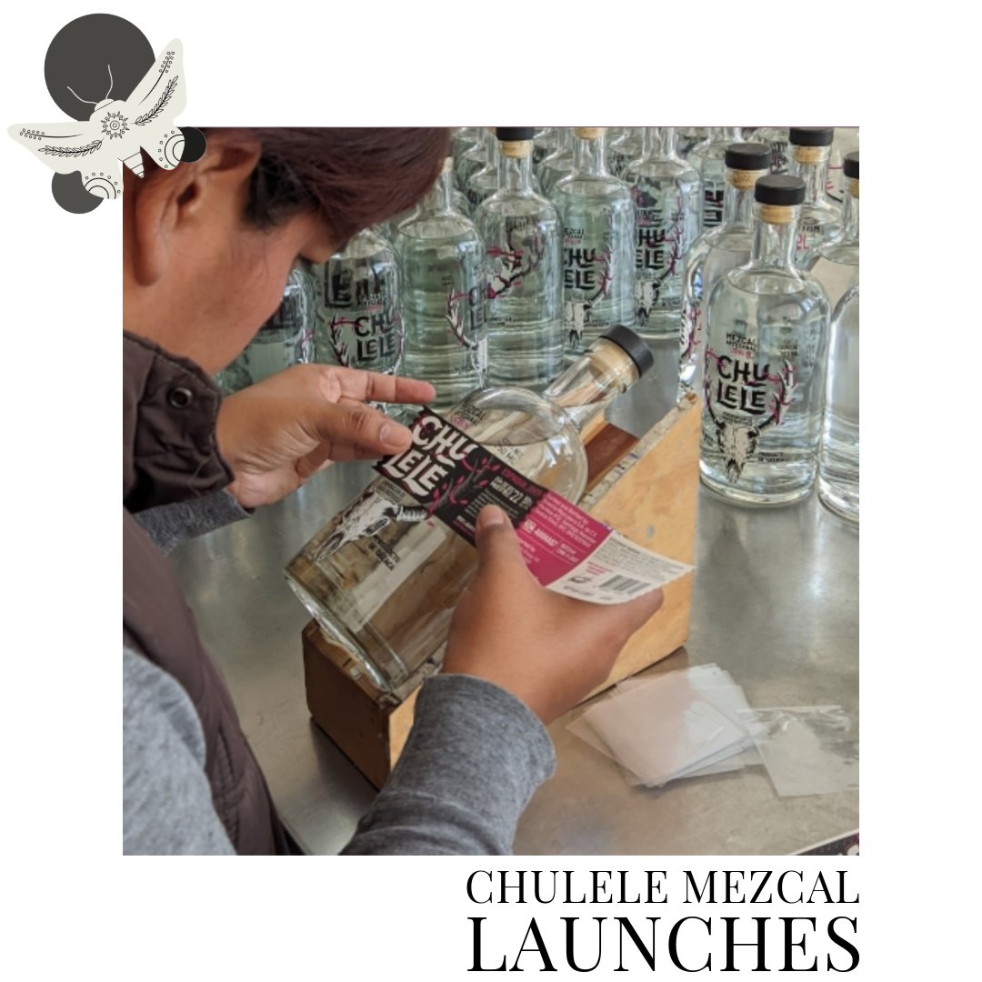 KITI Social #followtheinstinct tweet media