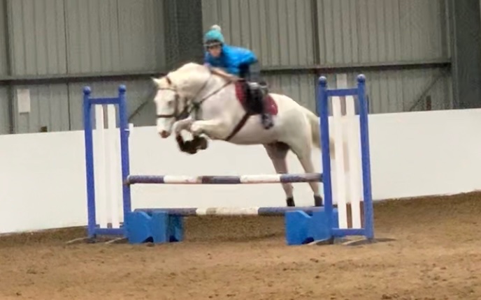 The unicorn went to a party yesterday… first course of jumps in a couple of years so just went for 70 and 80cm class. He smashed it. He’s all grown up now