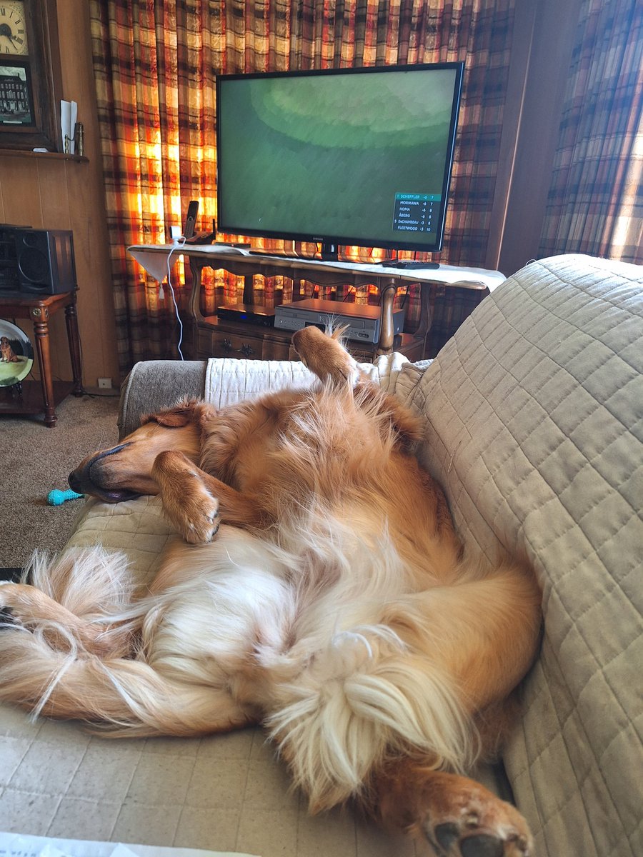 Moms walked me twice left me for ⛪️ earlier doing laundry washed her truck now she's watching #TheMasters2024 ⛳️I'm napping