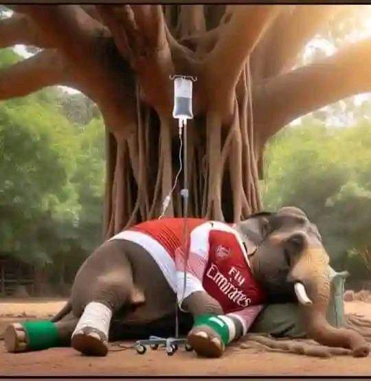 Journey to trophyless begins 🤦‍♂️🤣😆#Arsenal 

#footballfans⚽️