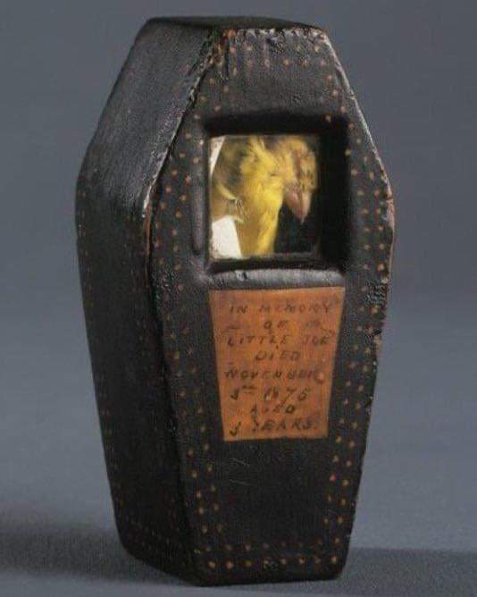 Pequeño ataúd de un canario perteneciente a un minero del carbón. La inscripción dice: 'En memoria del pequeño Joe. Murió el 3 de noviembre de 1875. Tenía 3 años'.