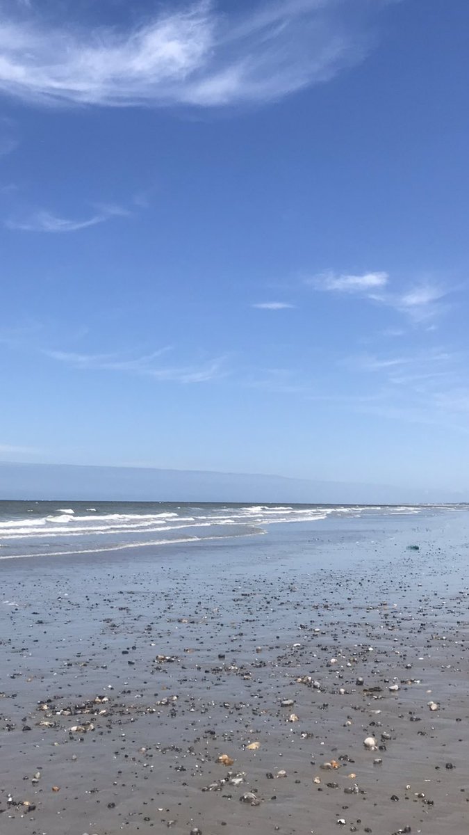 Cayeux sur mer : nord de la France. Des grandes marées et des phoques. 😅🦭🐚