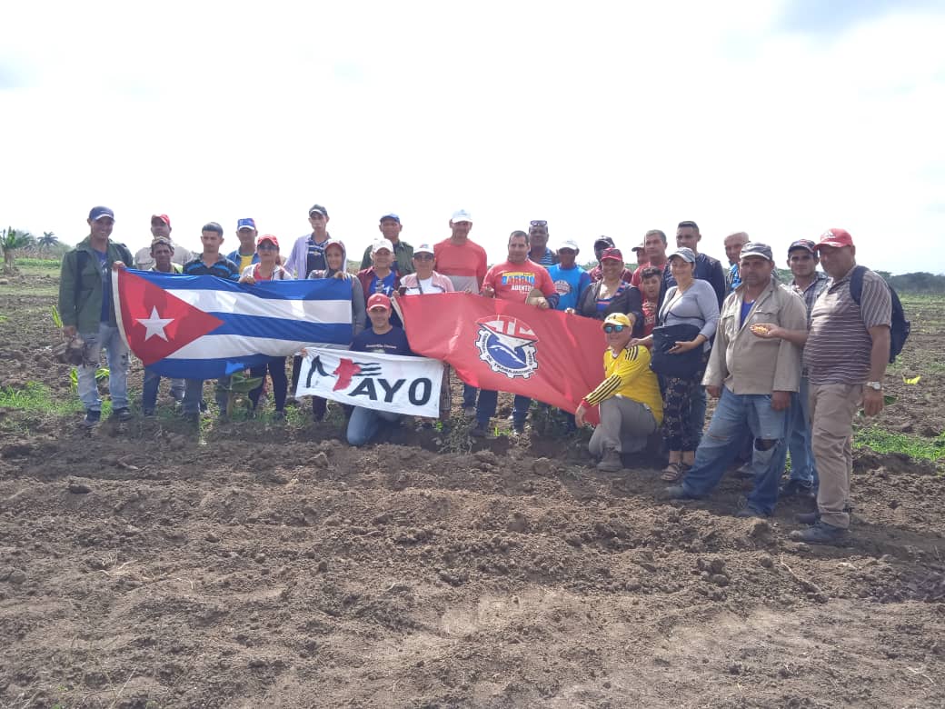 AlbertoHechava8's tweet photo. @UlisesGuilarte @PartidoPCC @CubaCentral @IzquierdoAlons1 @JoseAPerezP @DiazCanelB @DrRobertoMOjeda @ArletyBarazal #LasTunas #Majibacoa Jornada productiva #1Mayo #PorCubaJuntosCreamos https://t.co/SoeeyjWBxF