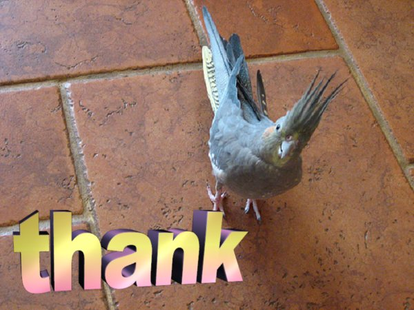 Thank you for recognizing i am not a bot, xitter