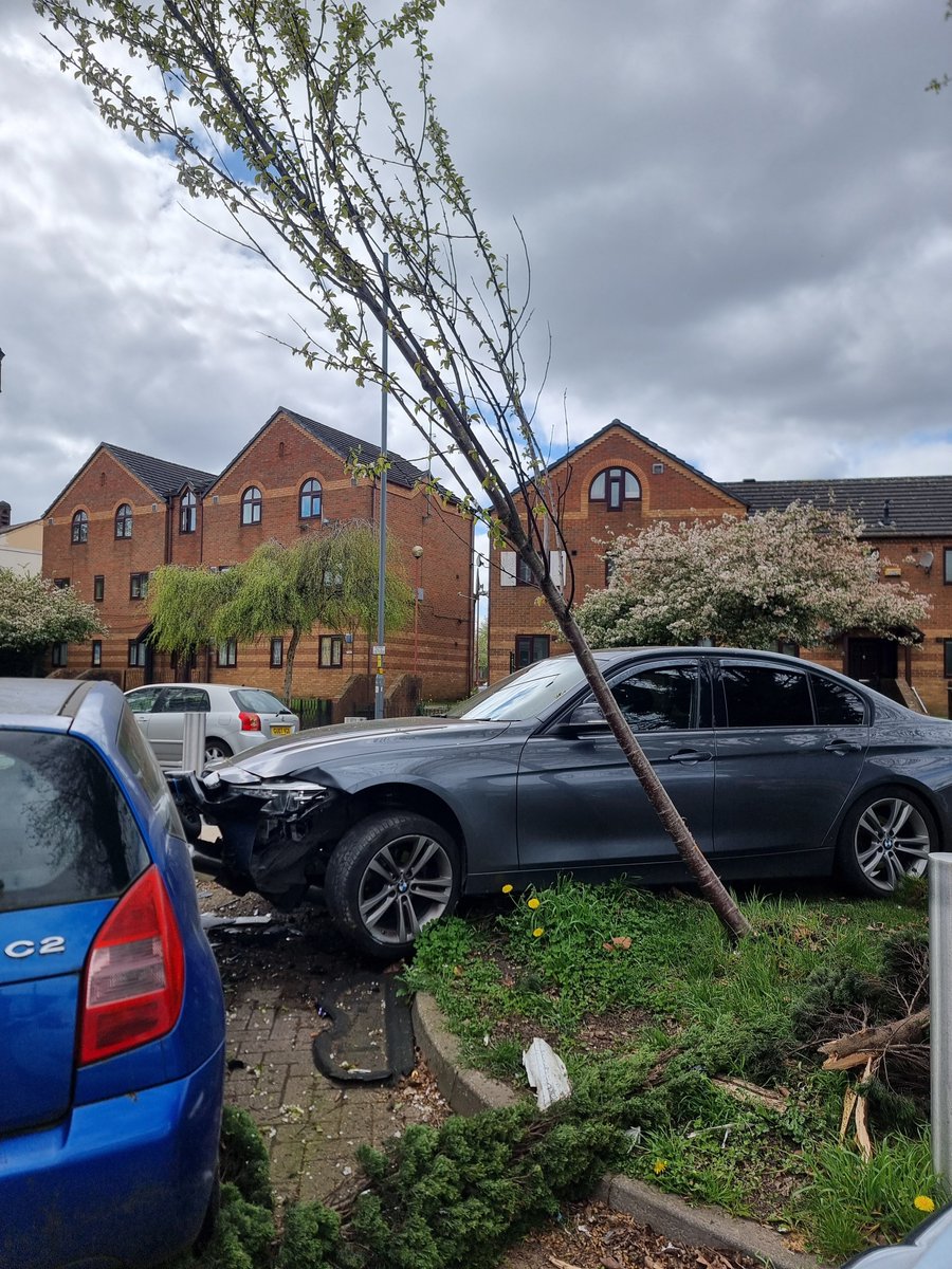 The #WarOnCars continues in Balsall Heath where a conifer and flowering cherry got in on the fight.