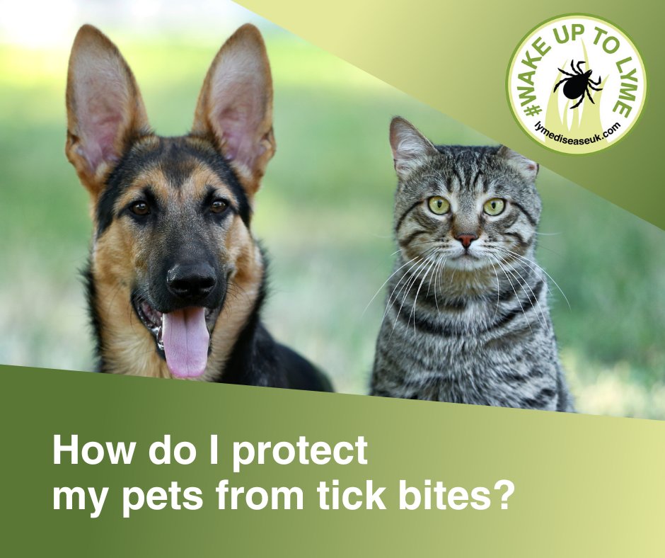 🐶 Consult with your vet about protecting your pets from ticks. This video also provides an overview on how Lyme disease can affect animals: youtube.com/watch?v=4Le8SP… #WakeUpToLyme #LymeDiseaseAwarenessMonth