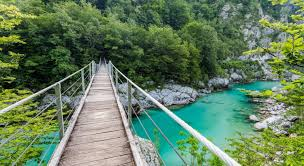 Dragi Janšisti, uspešen delovni teden vam želim.  Naj živi Janša, naj živimo vsi Janšisti, naj živi Slovenija. Prava pot je včasih majeva, nevarna, vendar je prava. Hvala Bogu za ta prelepi raj na zemlji. Ne skrenimo s prave poti.