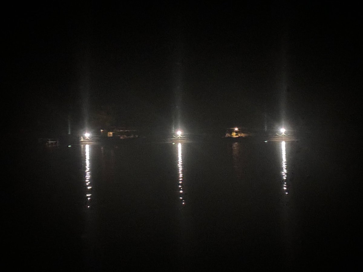 In this beautiful #fieldexperiment we try to shed light on how Artificial Light At Night ( #ALAN ) impacts nocturnal predation on intertidal communities and impacts #seagrass epiphyte productivity! @laura_airoldi @DiBio_UniPD @ArtificialGLOW