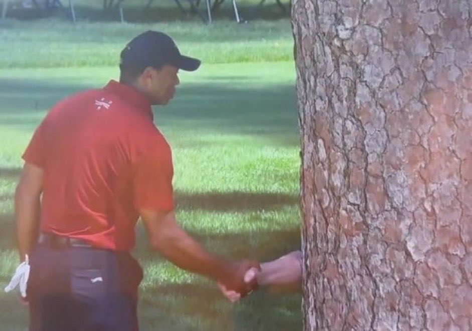 TwoApostlesName's tweet photo. One can’t be a tree hugger anymore. Not in the #TreeToo era https://t.co/Tj0nKvBmkw