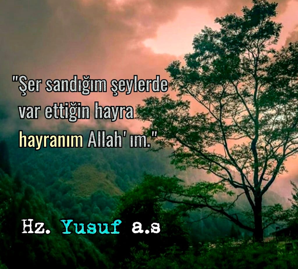 Hayranım ❗️

Hz.Yusuf r.a