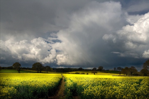 Colours of April (by flash of light on Flickr)