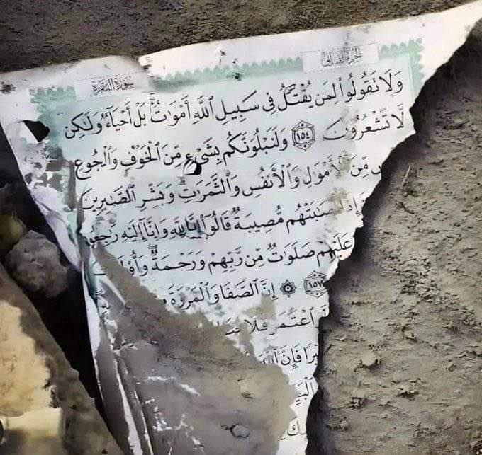 أدهم شرقاوي tweet media