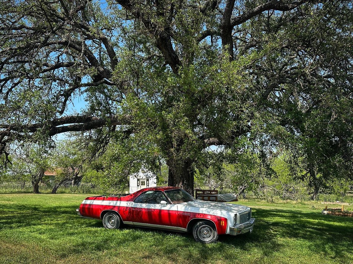 Our Luckenbach B&B 🙏🏽