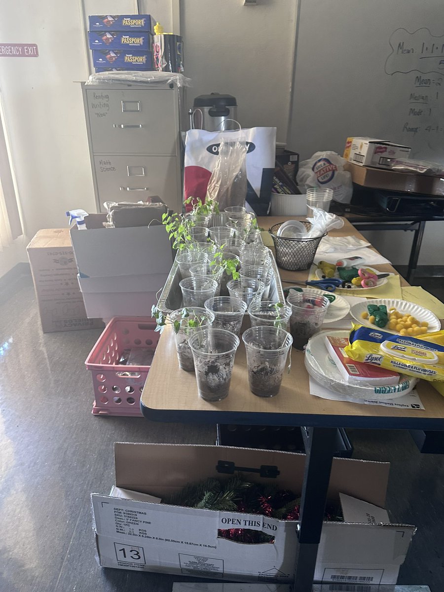 Check out @WestRivieraES @McKnight_WRES observing plants in the lab. Ss explained why adjusting the location could possibly promote faster plant growth🌱. @Area4SuptPBCSD @pbscience4u #fairgame🎯🎯 #science🥼