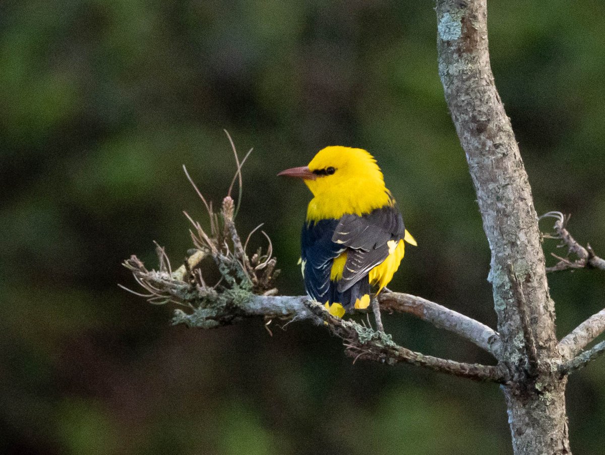 Mark Hipkin tweet media