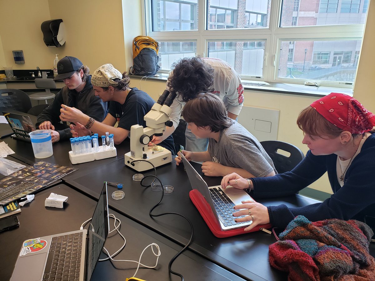 Productive day in the lab analyzing samples from our field trips! Always fascinated by the diverse macroinvertebrates we find 🦐🦟🔬 @UVM_RSENR @uvmvermont