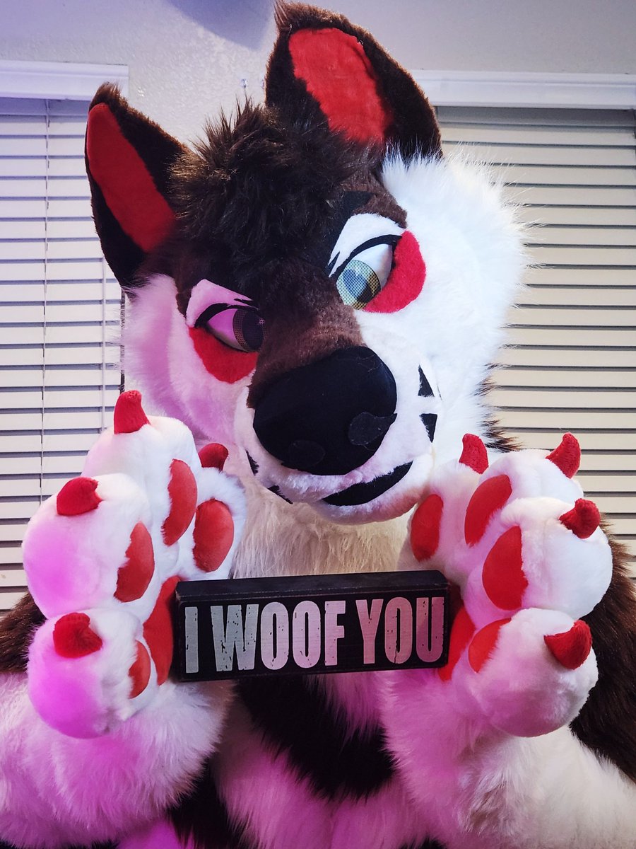 NONSTOPPUP's tweet photo. LAST NIGHT I HAD THE DAD HONOR OF HELPING MY FRIEND UNBOX HIS NEW FURSUIT &amp; BRING INTO THE WORLD A BRAND NEW BOY!! 🥲 EVERYONE SAY HI TO MY VERY CUTE, WAGGY, (AND SLIGHTLY SHY) FRIEND, ROO!! 🐶🐾💘 https://t.co/EeVbbbMd8B