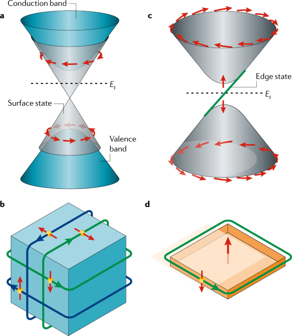 Topological insulators are materials with non-conductive interiors and conductive surfaces. They exhibit electronic properties that are not affected by impurities and deformations in the material, potentially useful for quantum computing.