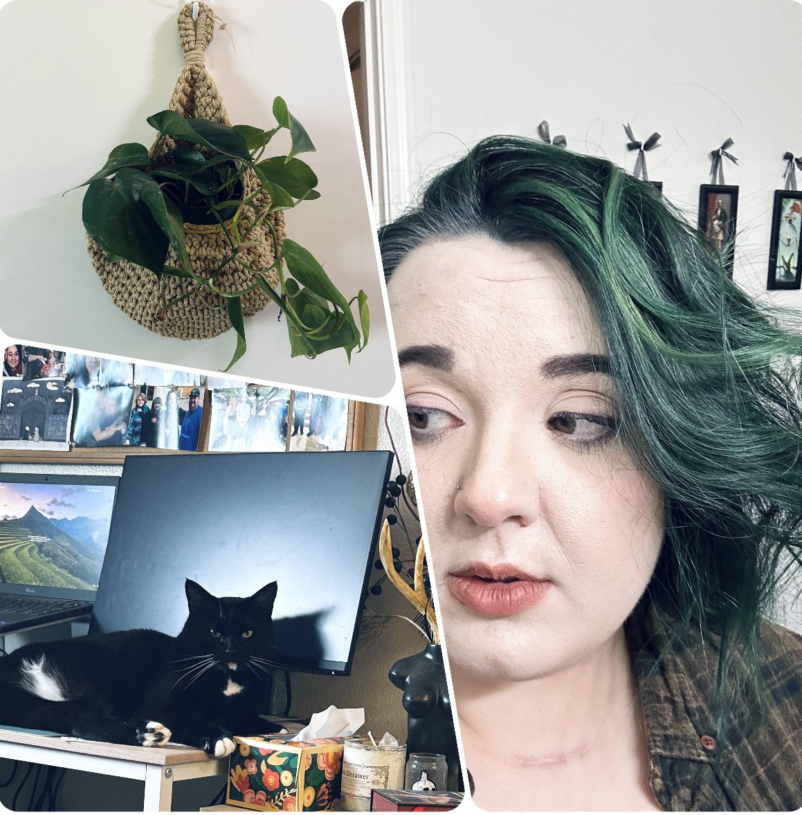 felishe3's tweet photo. Just out here trying to live my best green life https://t.co/qQuYd48P6e