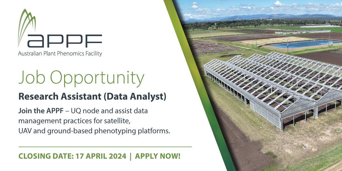 JOB OPPORTUNITY: Join the APPF @UQscience as a Research Assistant (Data Analyst) and assist with data management practices for satellite, UAV and ground-based phenotyping platforms. Applications close April 17th 2024. Apply here: uq.wd3.myworkdayjobs.com/en-US/uqcareer…