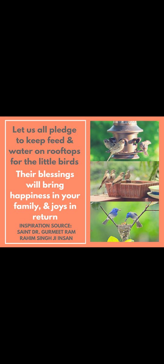 To save the lives of birds,waterpots and birdfeeders are placed at places like pillars,parks across cities under Birds Nurturing initiative initiated by Saint MSG Insan and driven by Dera Sacha Sauda disciples #SaveBirds 
#FeedFeatheredFriends