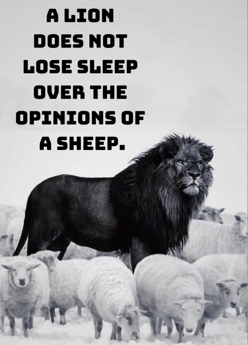 People talk about me all day everyday 😏 good or bad is irrelevant, I live Rent Free in their Head! #BULLRUN2024 #Crypto #freedom