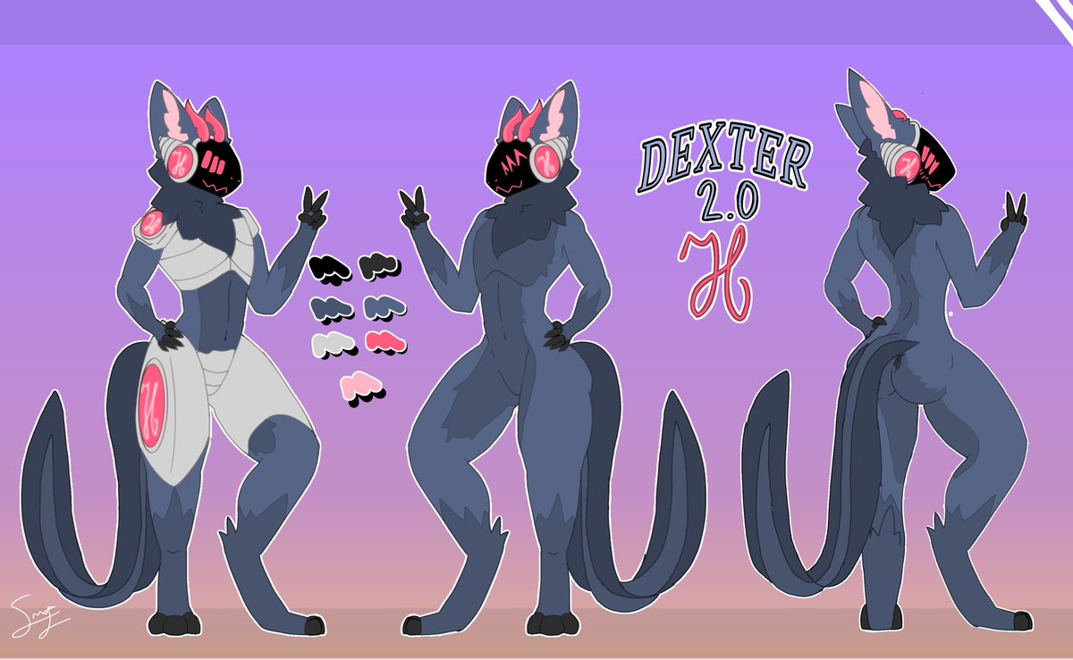 Dexter🐉 tweet media