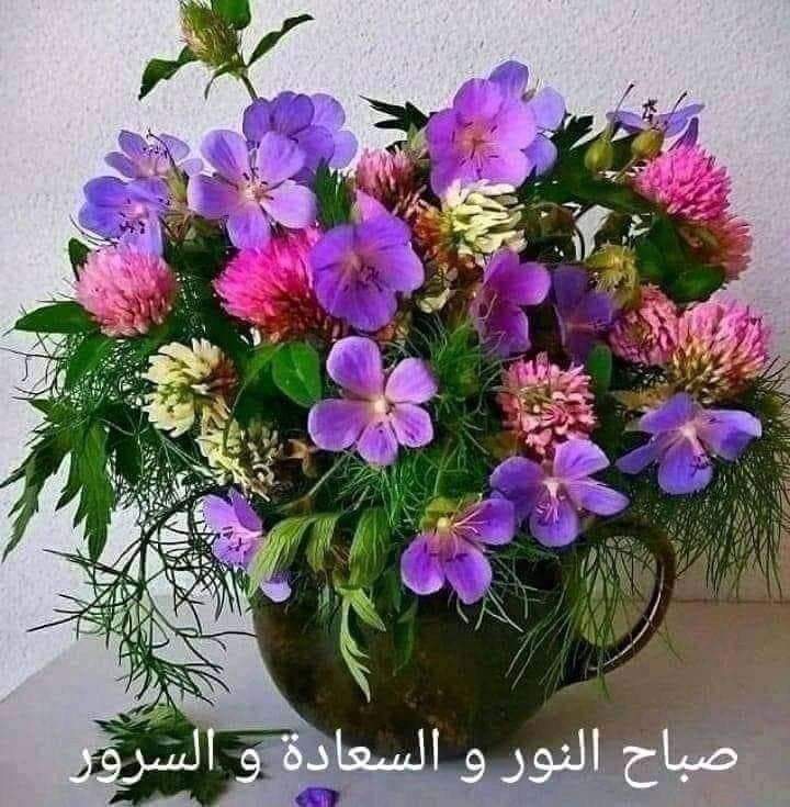 صباح الأنوار