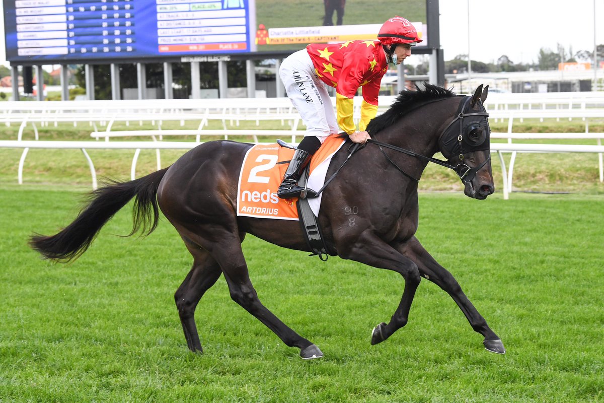 🚨Lot 3 in the #NewgateConsignment at @inglis_sales Chairman's Sale is JERVIS BAY🚨 Out of Blue Hen mare Gold Anthem, she is a half-sister to Starspangledbanner ⭐ and in foal to ARTORIUS! Under her first dam, there has been 5️⃣ NEW STAKES HORSES since 2022 alone! #ItsPossible