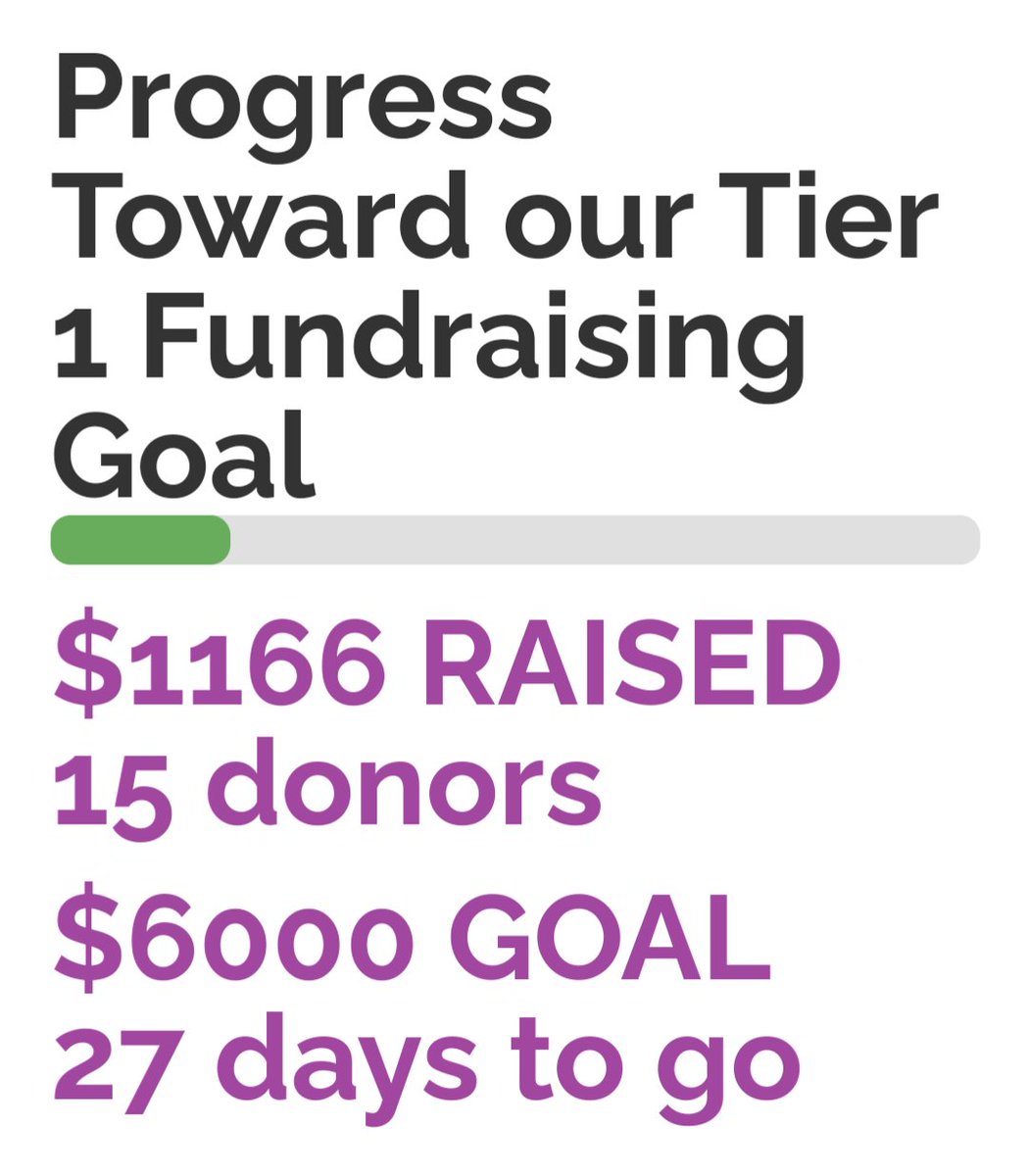 Another @ROMchip_Journal donation in...we're soooooo close to 20%! My birthday weekend still has a couple hours left 🎂 donate.romchip.org