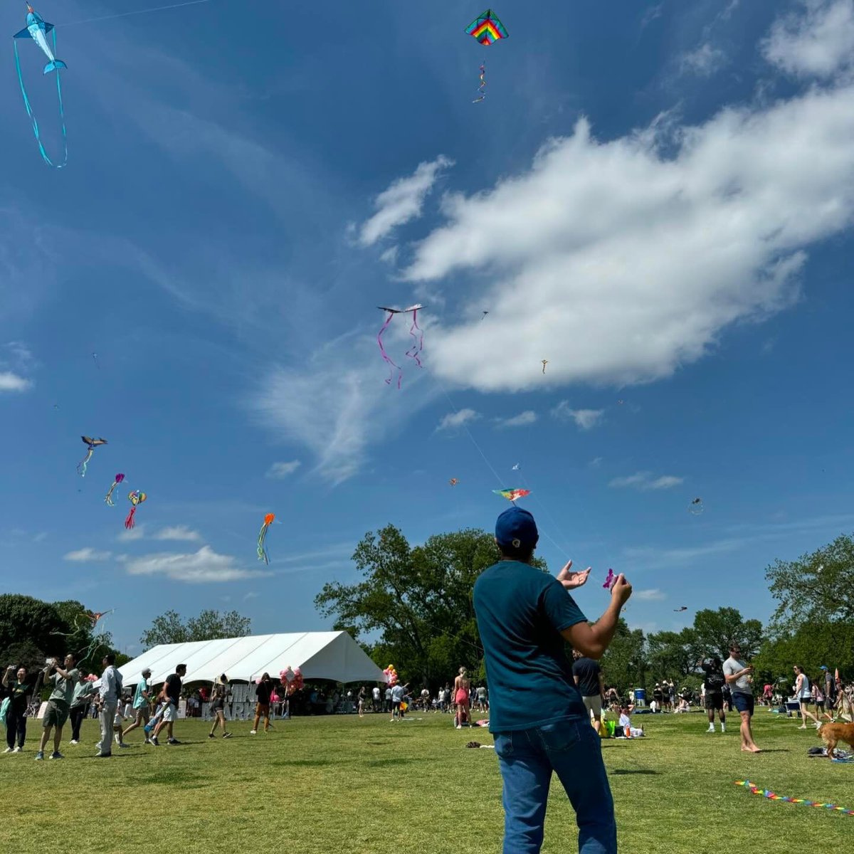 Official_AlexB_'s tweet photo. Such a fun day @abckitefest 96th annual event @ZilkerPark100 but it was @jenniifrias and I’s first time. We took our kite flying skills to new heights. We’re definitely going to try and make it an annual tradition. 🪁 #ABCKiteFest https://t.co/D7Rxl31lYo