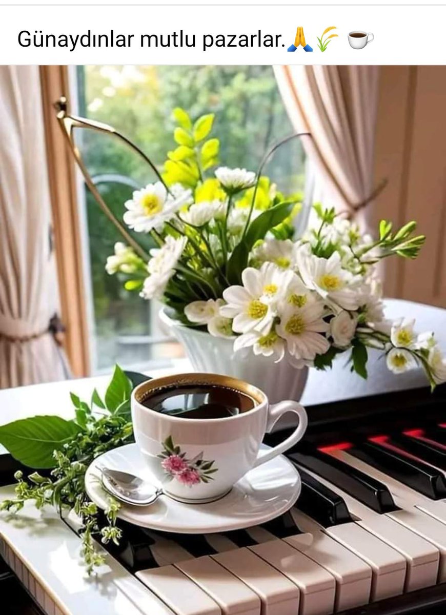 Günaydın ve mutlu haftalar sükunetli insanlar. 💆‍♂️🙏🙋😀🤲☕🌄🌅🏞️🖐️🍁⚖️💎🕊️💖🫂🌿🪻💝🫧🚰🧹🌻🌲
#EskiUzmanÇavuşlar
#2000lereAcilEşitlik
#StajÇıraklıkSgkBaşlangıcıOlsun
#SONDAKİKA
#SınırlarıKapatın
Elazığ Nefise Şebnem Bursalı