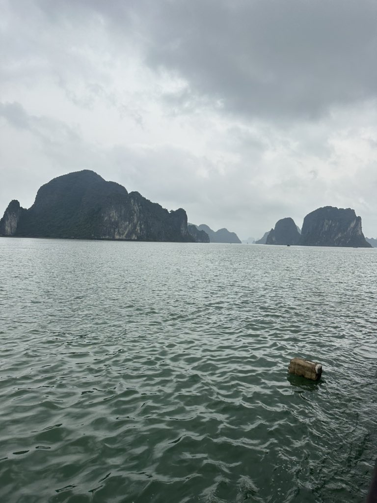 Alice Chamberlain tweet media