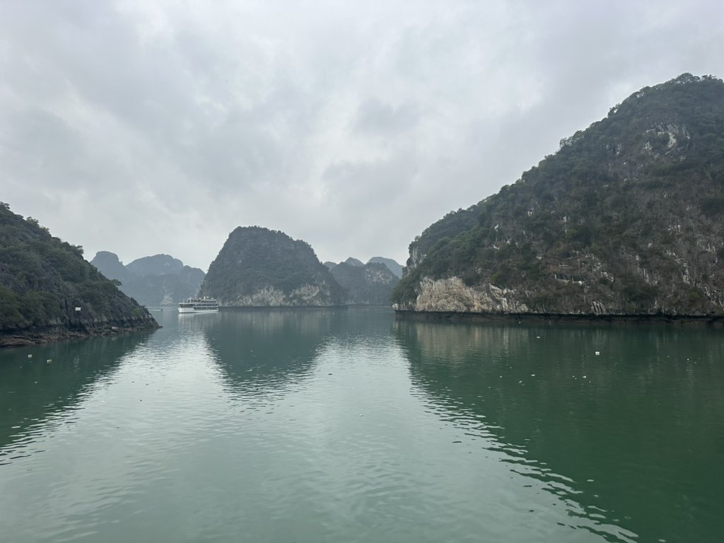 Alice Chamberlain tweet media